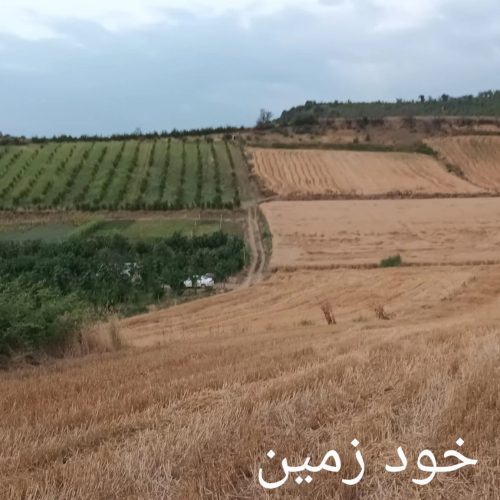 زمین