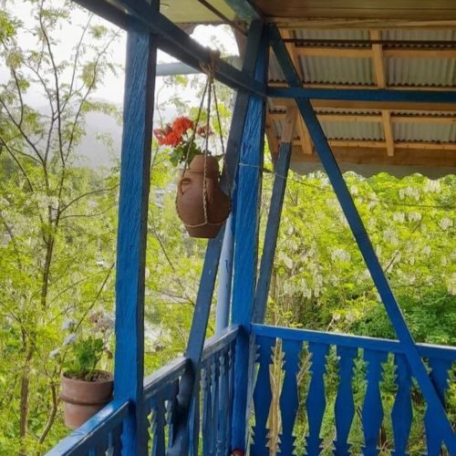 ویلاجنگلی لیان