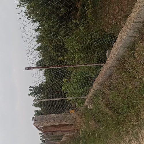 سه هزار متر باغ هلو