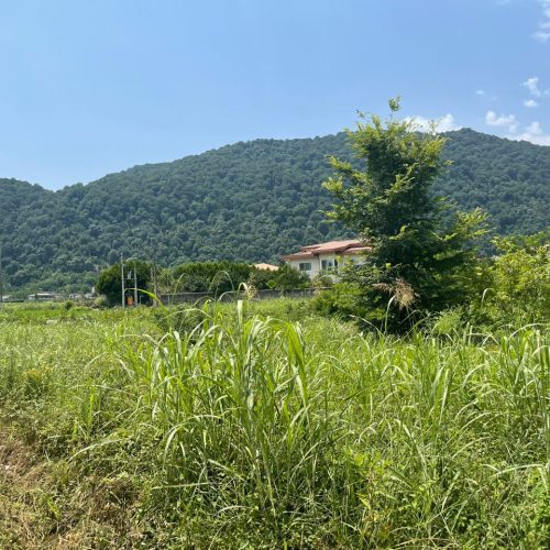 زمین 500 متری با جواز ساخت،چابکسر،سرولات