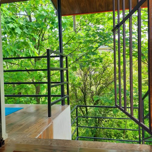 اجاره سوییت جنگلی بینظیر  کوتاه مدت