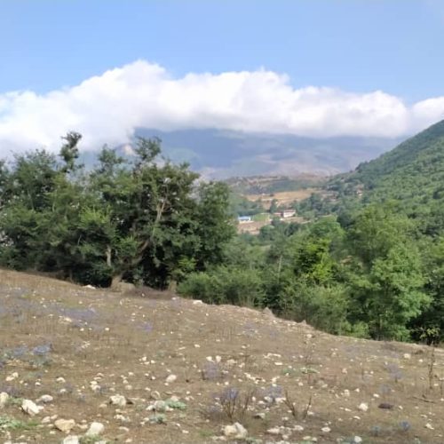 زمین فروش فوری
