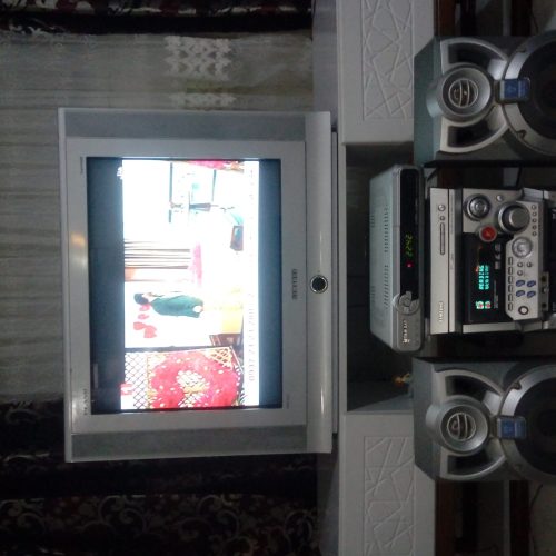 تلویزیون 29 اینچ. سامسونگ همراه. کنترل