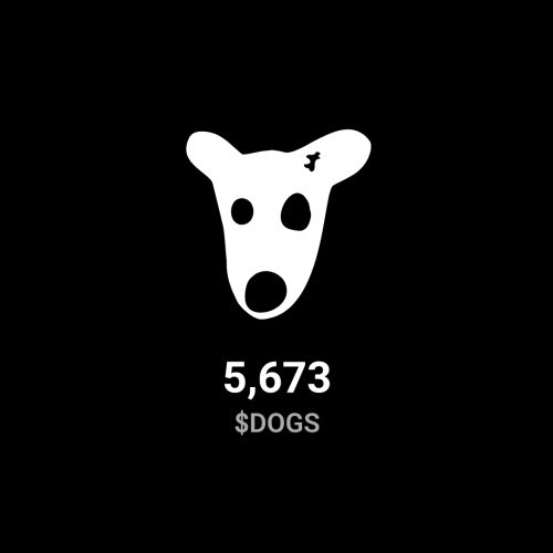 همستربادوزب فروش می رسد