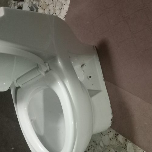 توالت فرهنگی