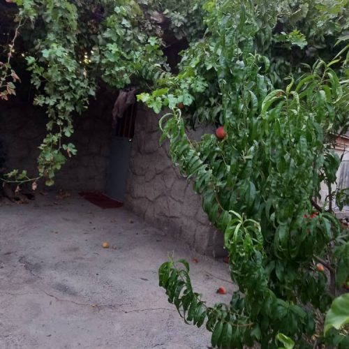 فروش باغ