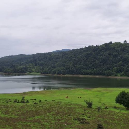 ویلا سوئیت سوادکوه