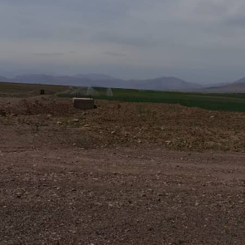 زمین کشاورزی معروف به خاک طلا