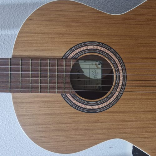 گیتار پارسی