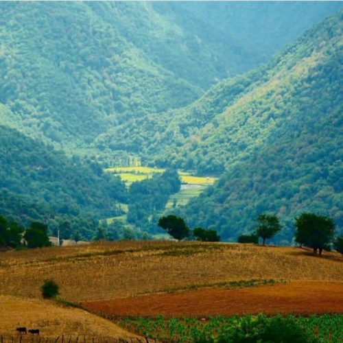 زمین مسکونی واقع در چهاردانگه ساری