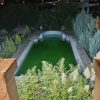 اجاره کوتاه مدت و بلند مدت باغ در شیراز