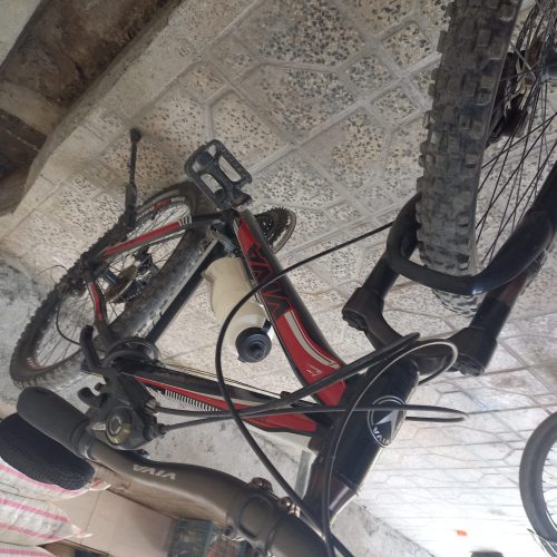 دورچه ویوا 26 اودی کوهستان