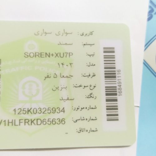 فروشی سورن پلاس خشک