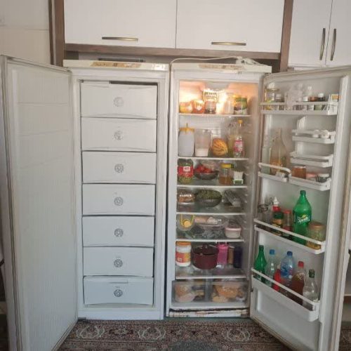 یخچال فریزر دوقلو الکترواستیل