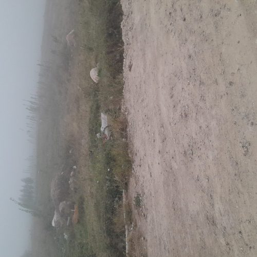 زمین به متراژ 300الی 400 متر