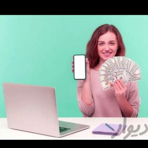 تایپیست و پشتیبانی کار های انلاین