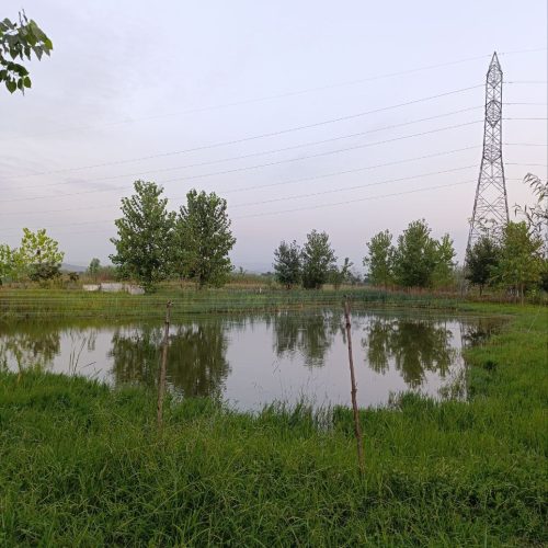 زمین استخر ماهی 3600 متری