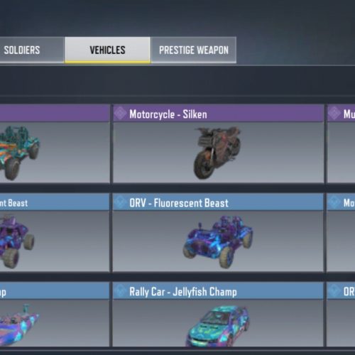 اکانت کالاف دیوتی 800تومان