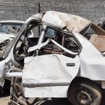 سمند تصادفی