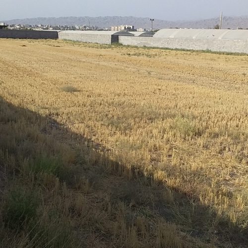 زمین باغی وکشاورزی