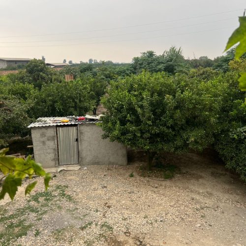 فروش باغ