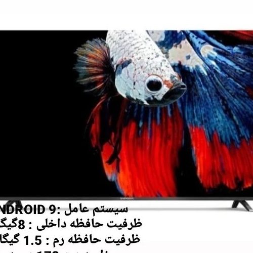 تلویزیون65 اینچ