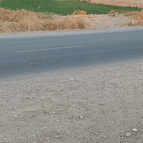 زمین مسکونی