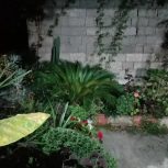 سوئیت کوچک و دنج