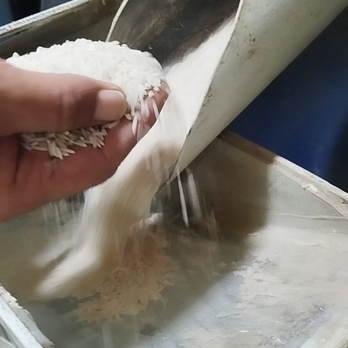 برنج هاشمی درجه یک به شرط بخت