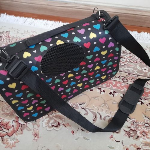 کیف حمل حیوانات خانگی