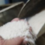 برنج هاشمی درجه یک به شرط بخت