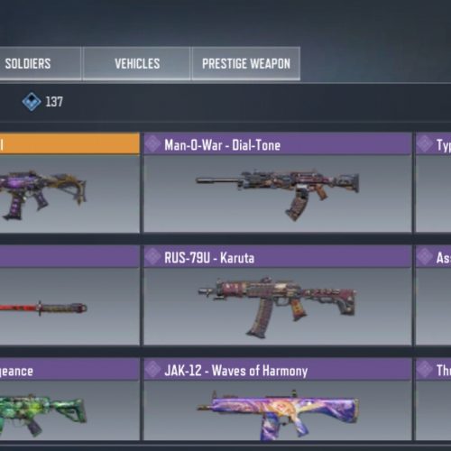 اکانت کالاف دیوتی 800تومان