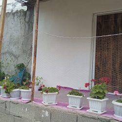 اجاره سوئیت روازانه