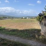 فروش زمین واقع در روستای بنفشه ده