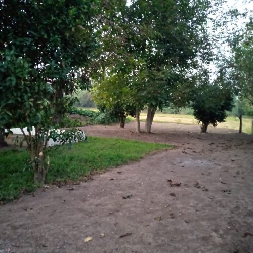 فروش زمین 315 متر مربع