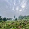 فروش یک قطعه زمین با سند مالکیت