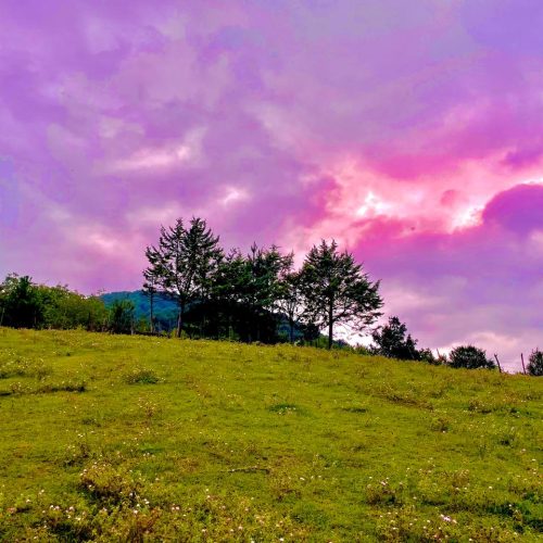 زمین باغی الحاق به بافت ویو 360 ابدی