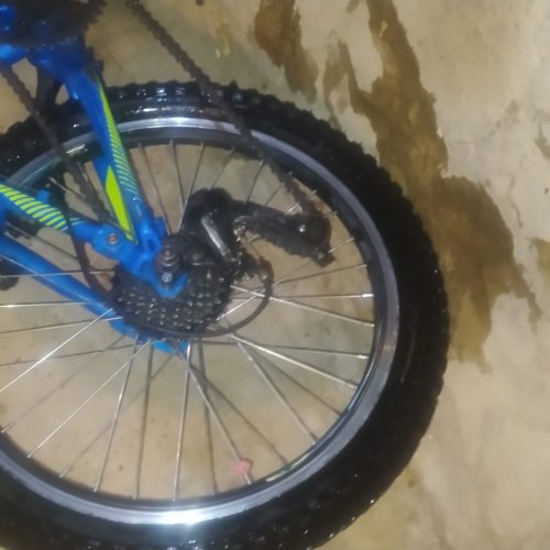 دوچرخه 20 حرفه ای