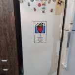 یک عدد یخچال تمام فریزر