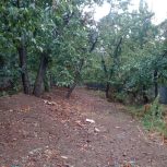 300 متر باغ بام لواسان