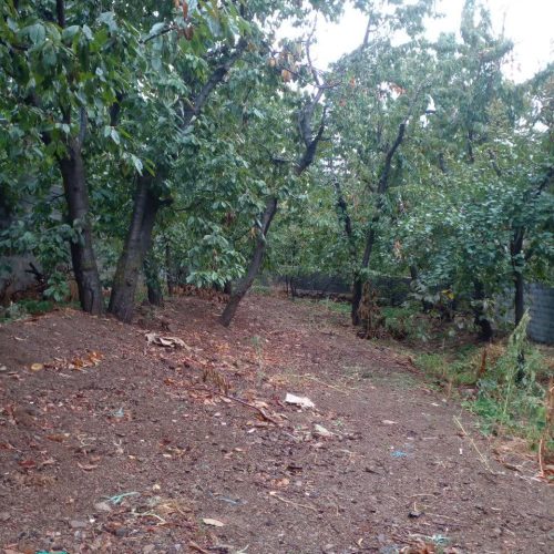 300 متر باغ بام لواسان