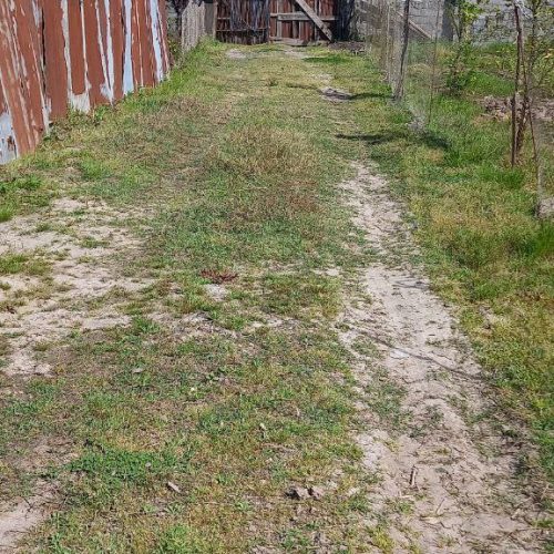 300متر زمین دهکده ساحلی محسن آباد پایین کیاشهر