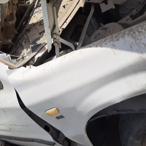 سمند تصادفی