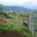 ویلاجنگلی رو به دریا ویوو عالی ابدی