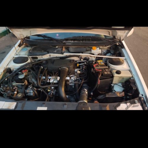 پژو پارس دوگانه سوز، مدل 1391