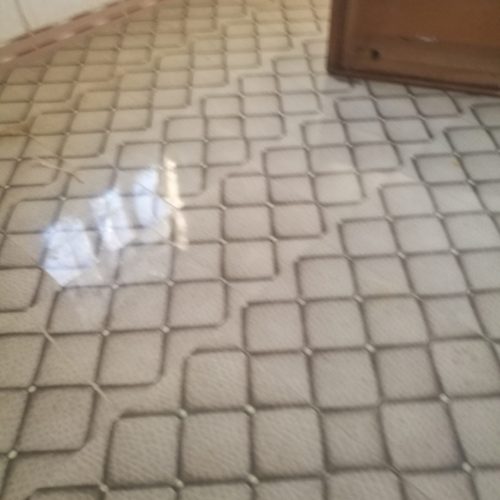 ویلایی رهن کرایه برازجان