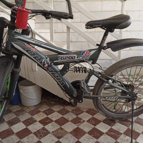 دوچرخه‌سواری