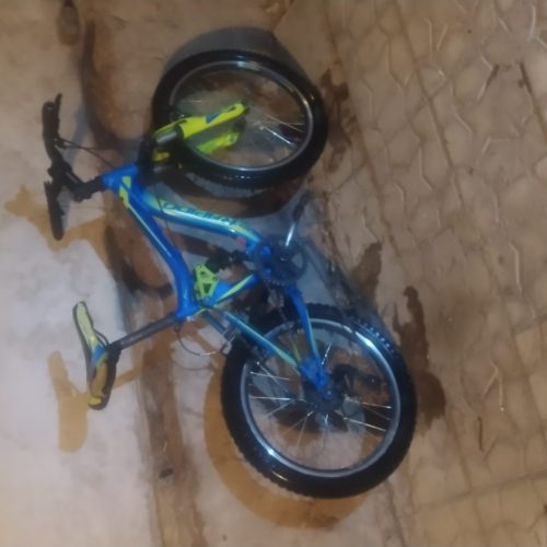 دوچرخه 20 حرفه ای