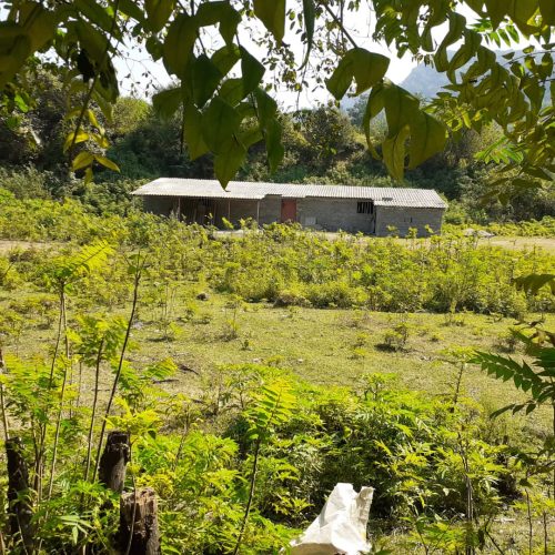 اجاره 160متردامداری همراه با 1650 متر محوطه