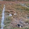 زمین 100 متری دارای مجوز ساخت